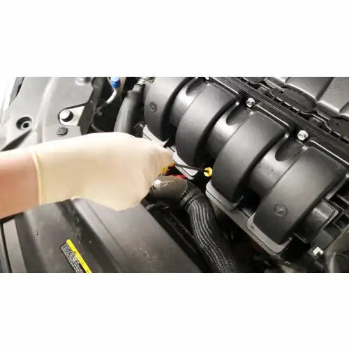 (In-Stock) 8X Latex Exam Gloves, Powder Free (8 Mil) - GloveSaver.com