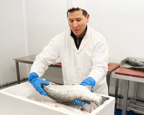 AlphaTec 37-210 - GloveSaver.com