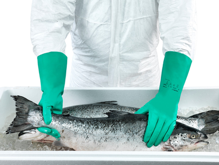 AlphaTec® 37-646 - GloveSaver.com